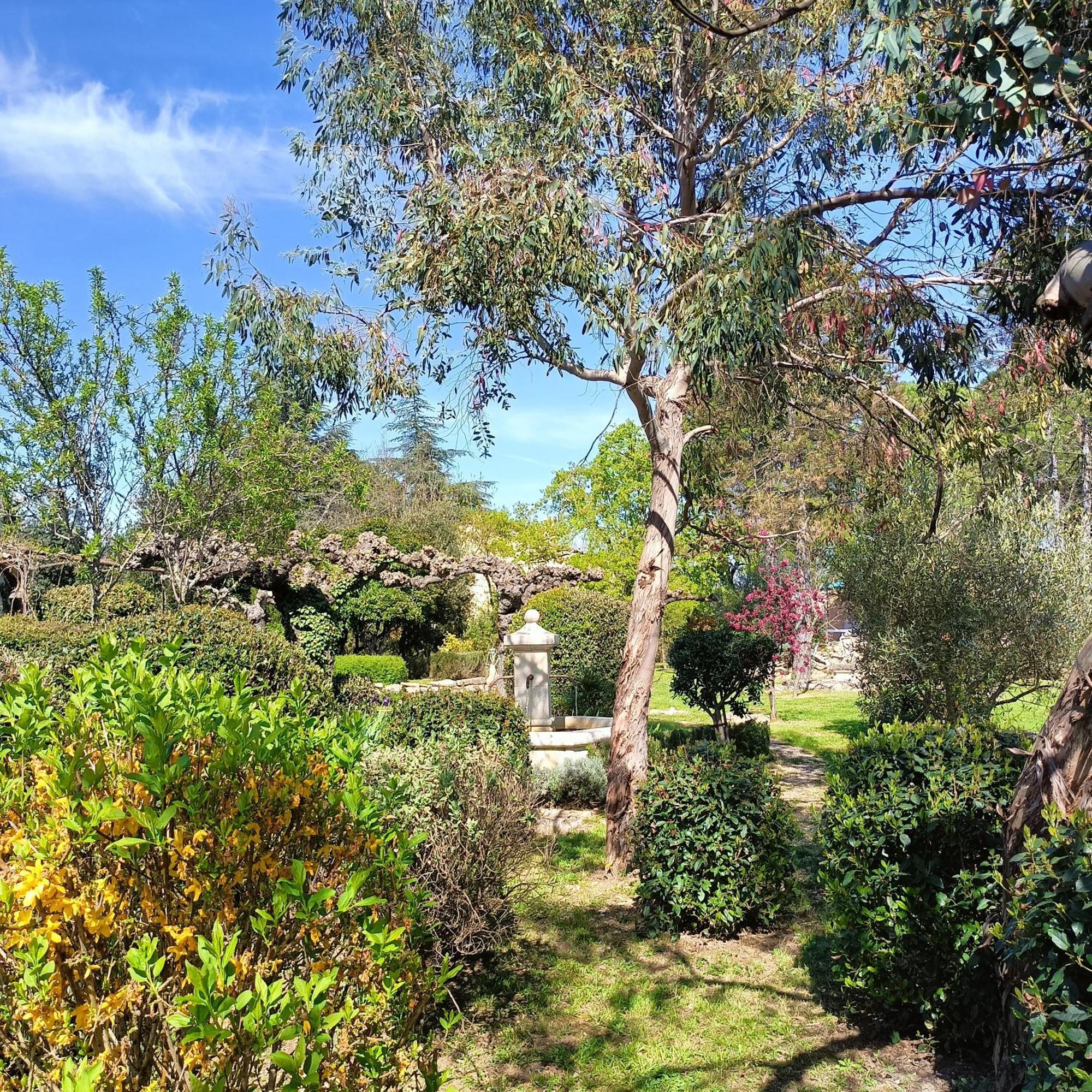 L'Arbre Du Magnan Villa Chandolas Exteriör bild